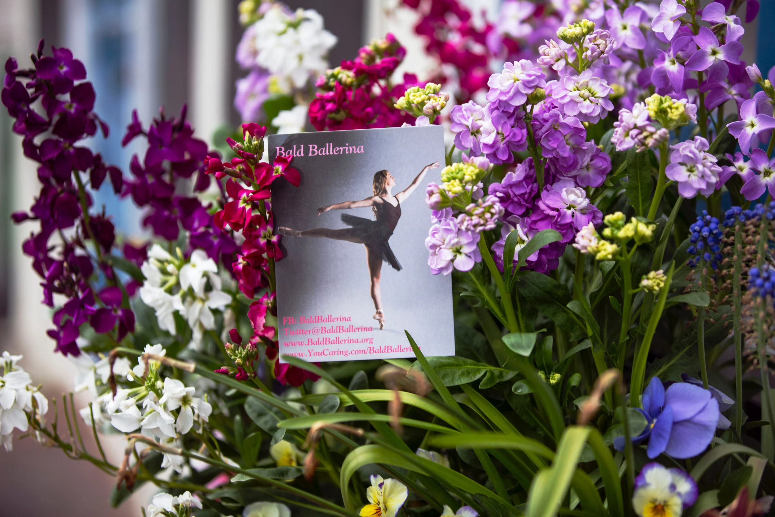 The Grand Tavern Fundraiser Dancers Care Foundation Cancer Research 5.JPG