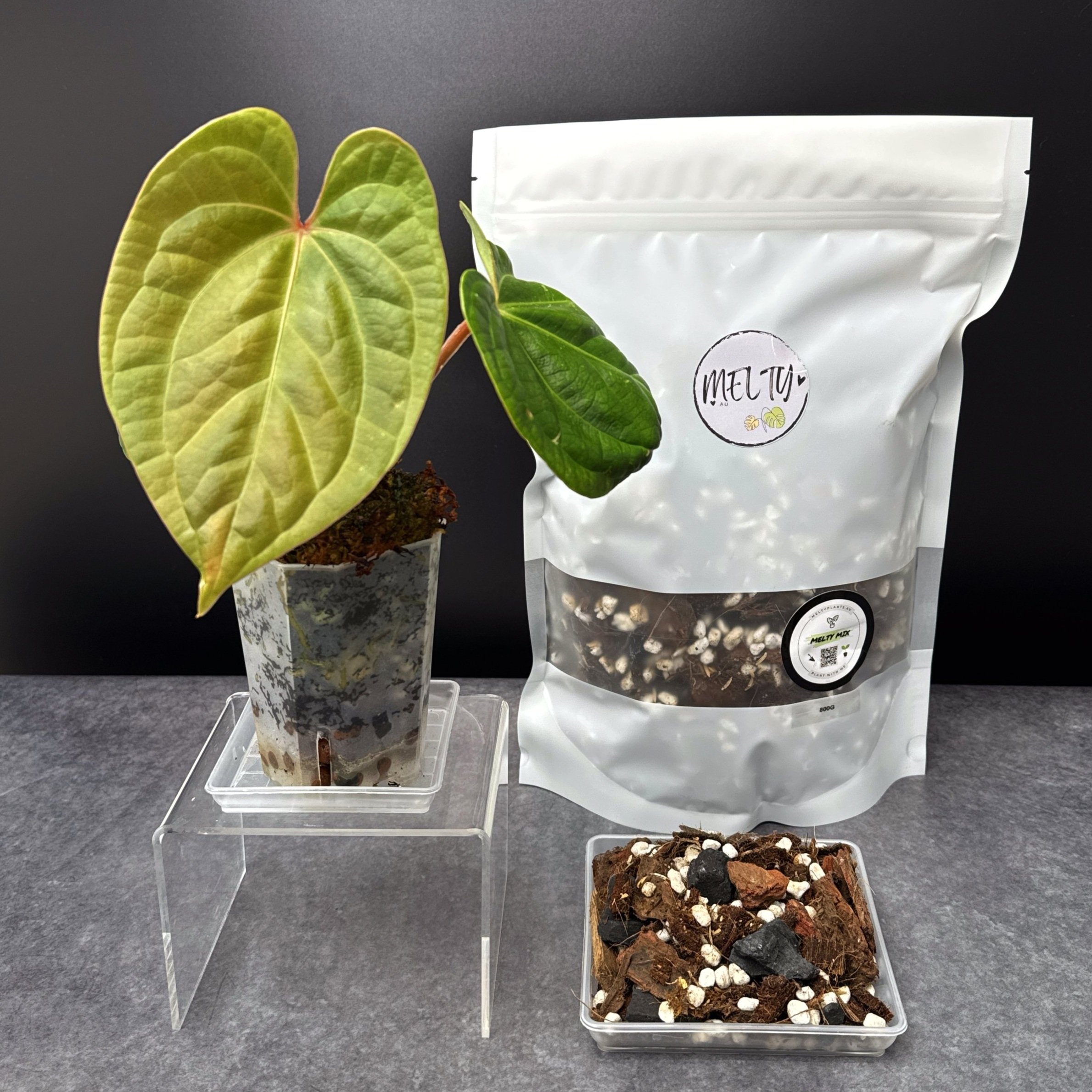 800G MELTY MIX FOR MATURE AND ESTABLISHED TROPICAL HOUSEPLANTS | CUSTOM SOILLESS POTTING MIX IN A WHITE SEALED POUCH | MELTY PLANTS ONLINE STORE SYDNEY AUSTRALIA