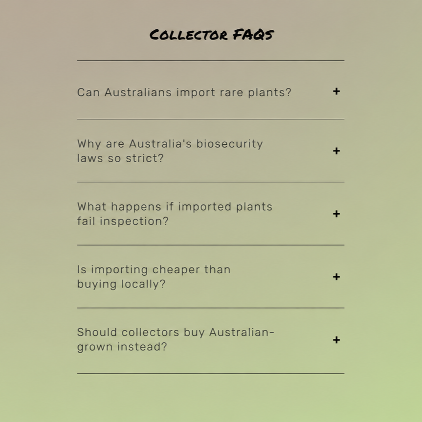CAN YOU IMPORT RARE PLANTS INTO AUSTRALIA? - A COLLECTOR’S BREAKDOWN | Australian Collectors 🌱