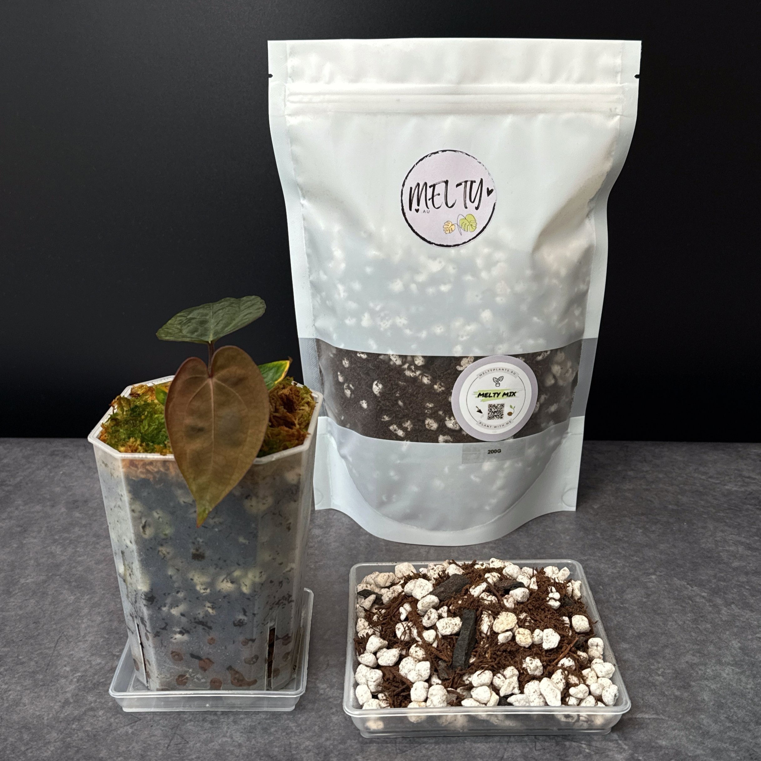 200G MELTY MIX FOR JUVENILE HOUSEPLANTS; SEEDS, SEEDLINGS, CUTTINGS, GROW POLES | CUSTOM POTTING MIX IN A WHITE SEALED POUCH | MELTY PLANTS ONLINE STORE SYDNEY AUSTRALIA