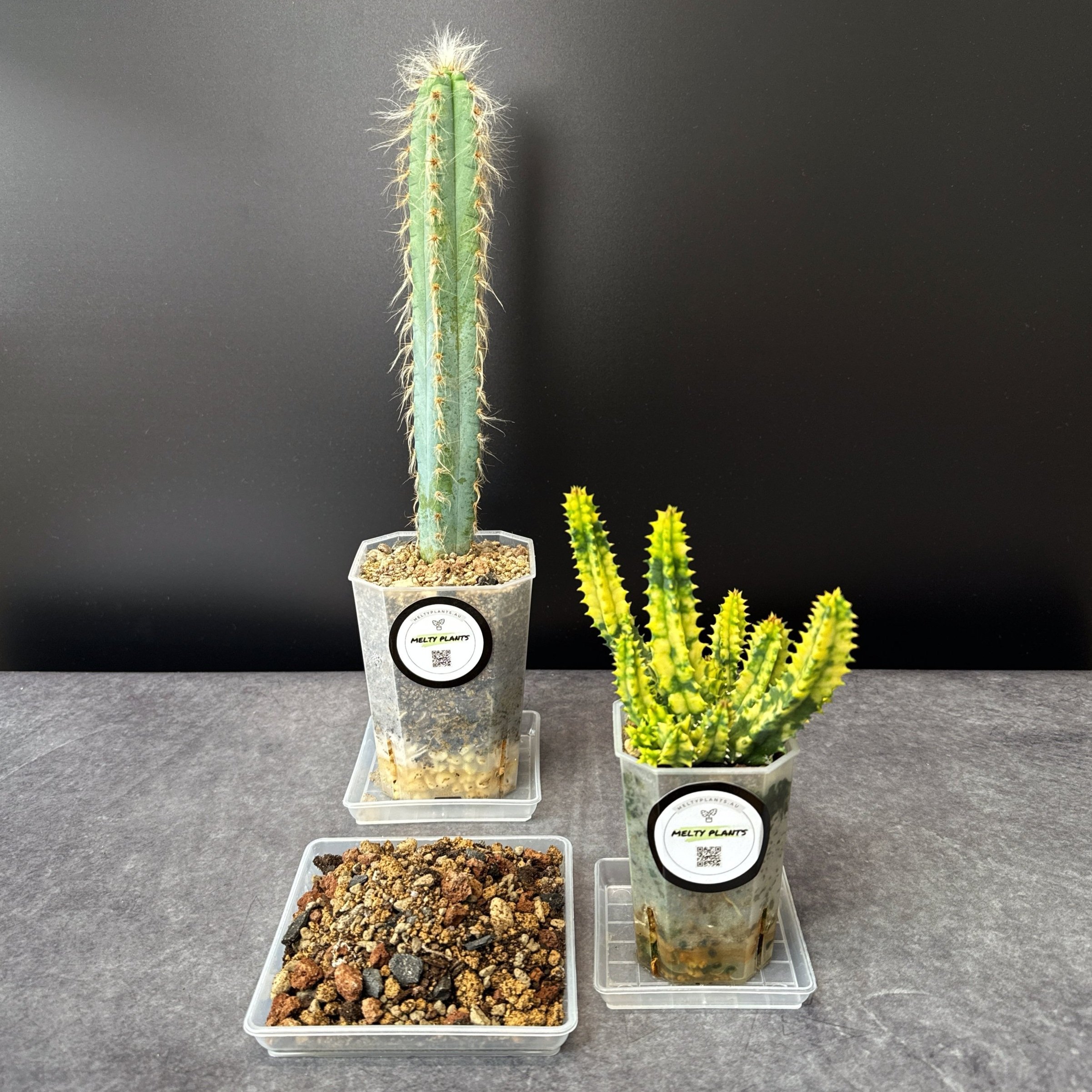 MELTY MIX FOR DESERT HOUSEPLANTS | CACTI AND SUCCULENT POTTING MIX IN A WHITE SEALED POUCH | MELTY PLANTS ONLINE STORE SYDNEY AUSTRALIA