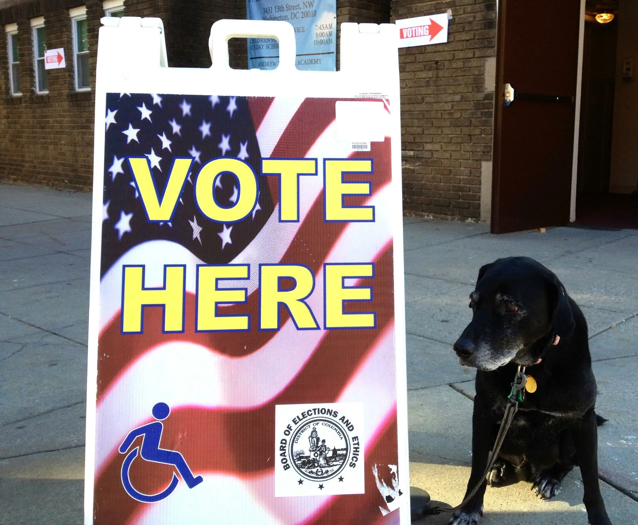 Voting Day!