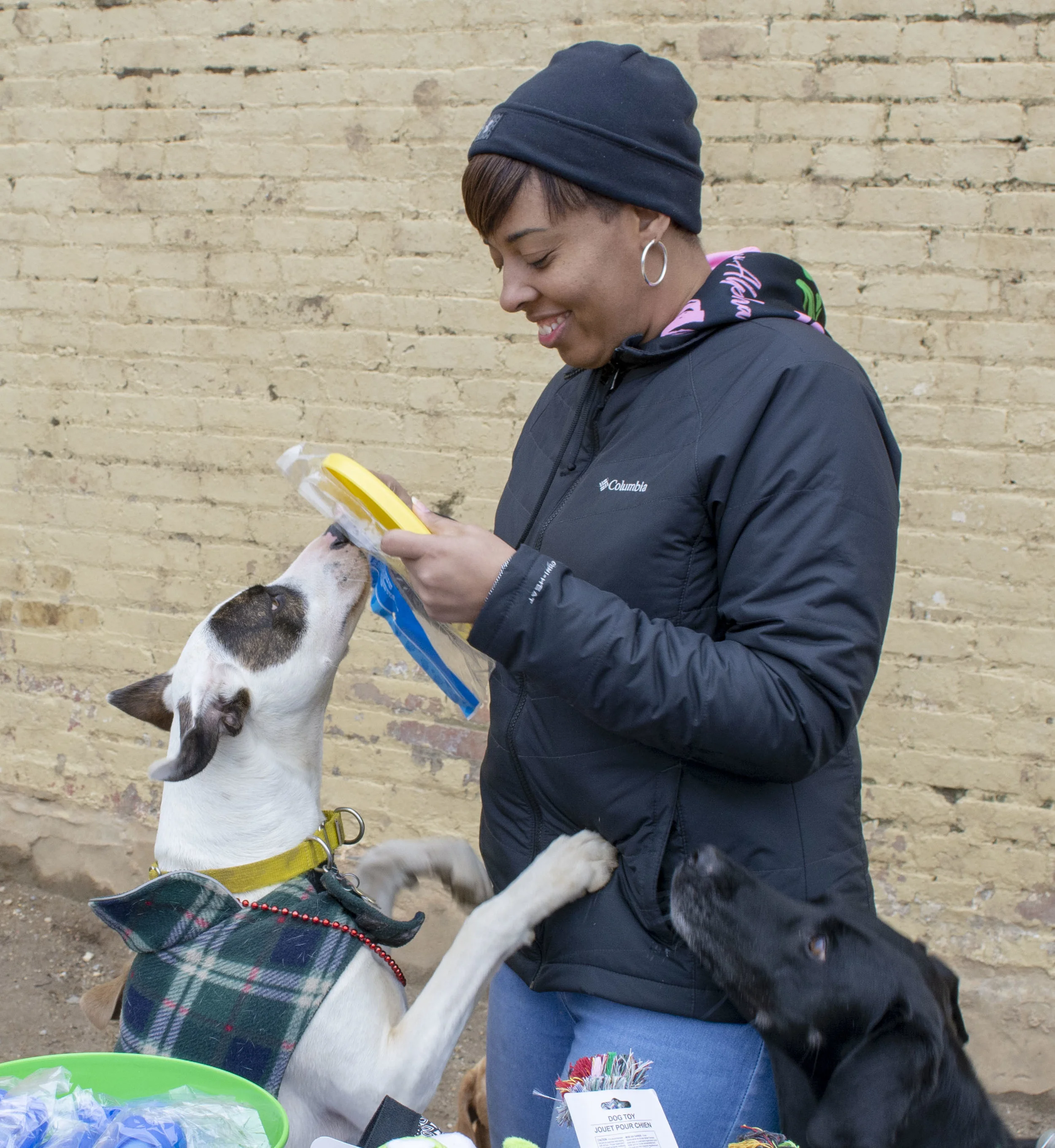 mardipaws-2019_001_47292059892_o.jpg