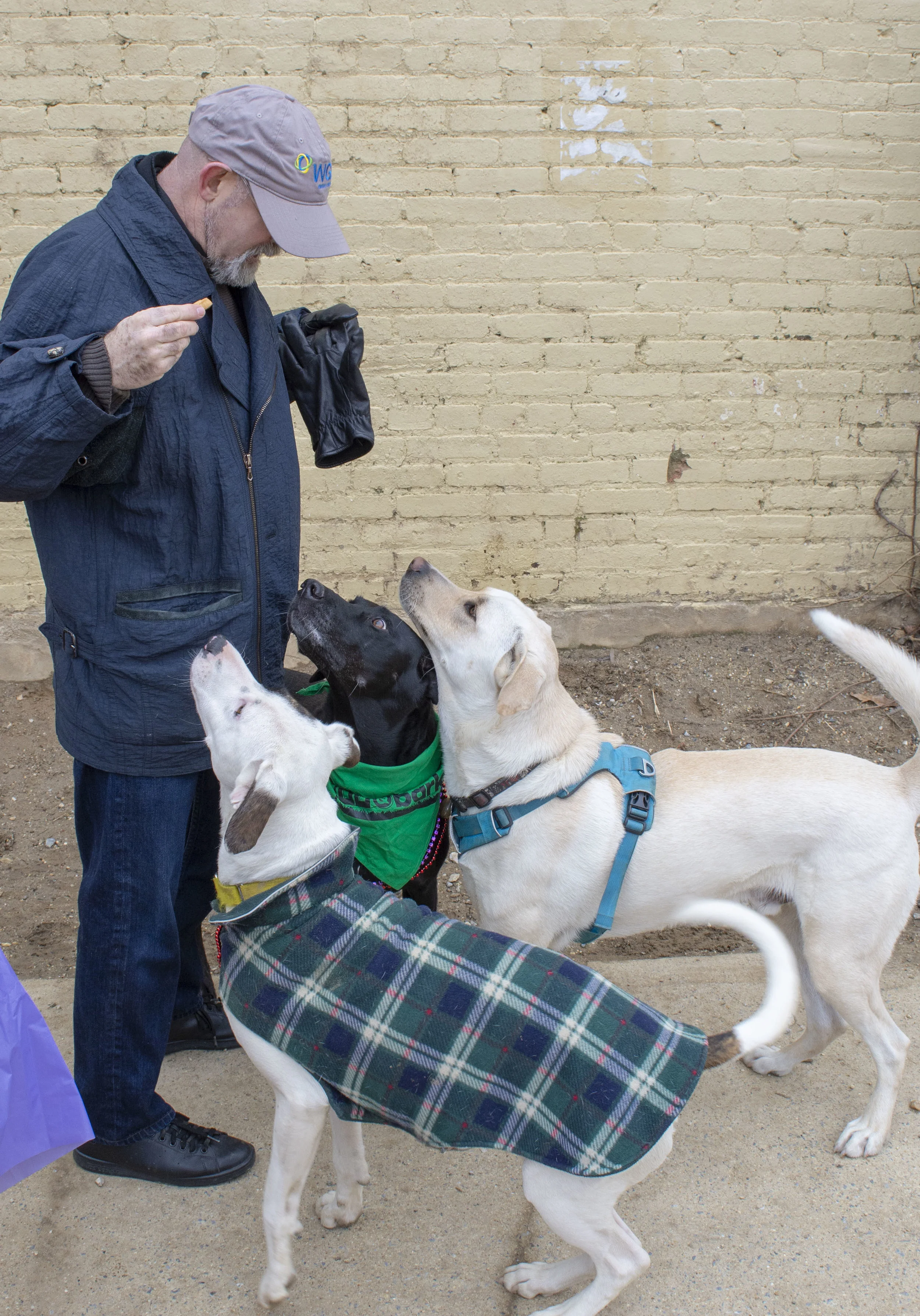 mardipaws-2019_002_32402754977_o.jpg
