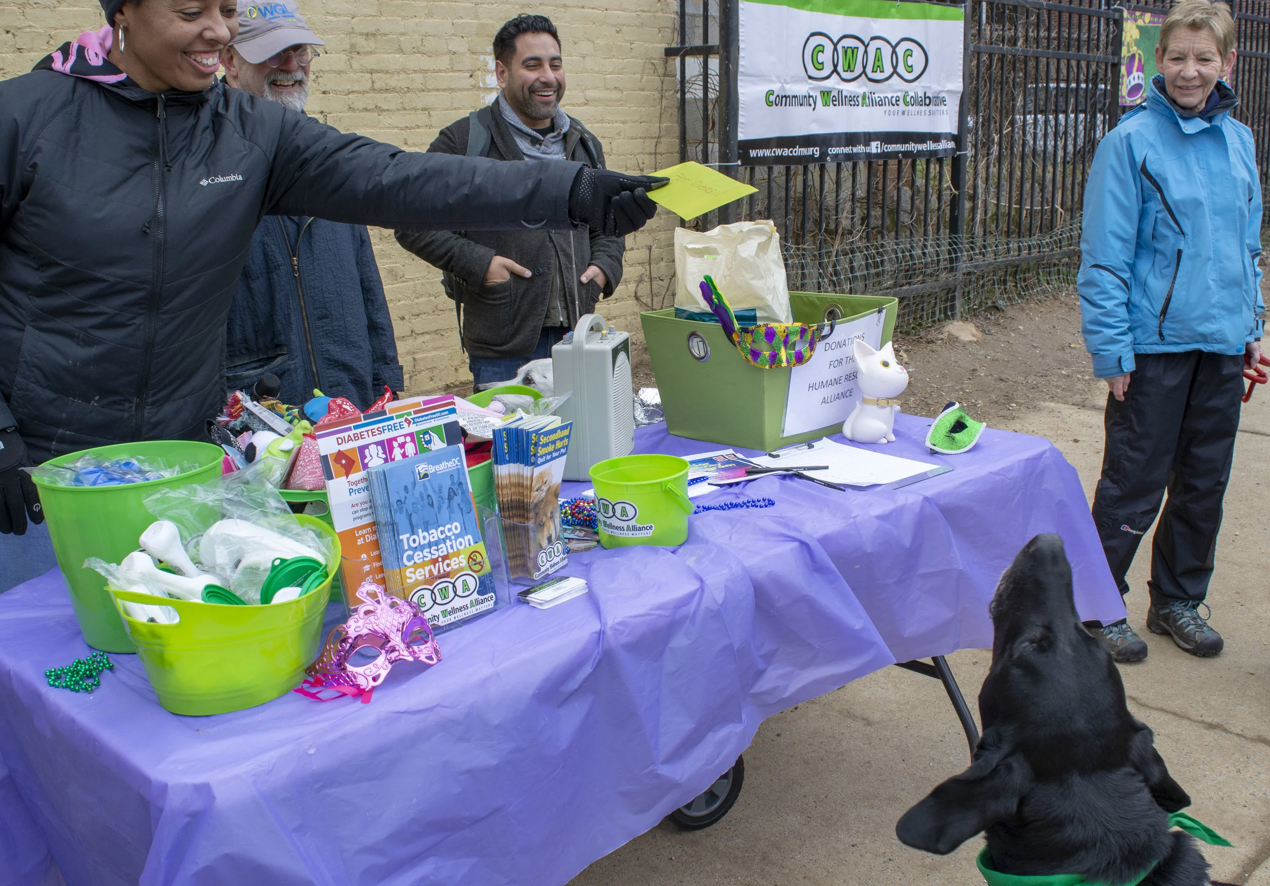 mardipaws-2019_021_46621433174_o.jpg