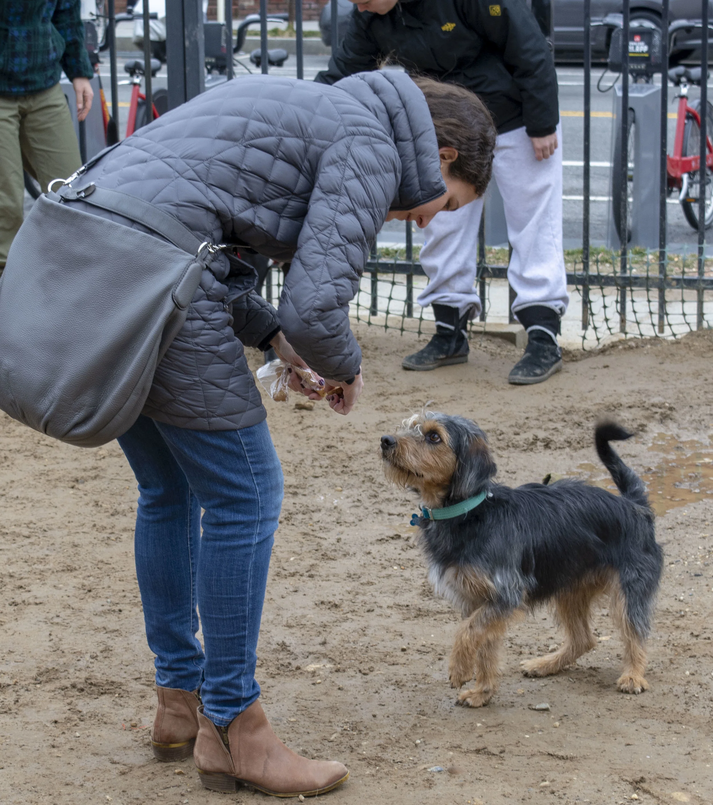 mardipaws-2019_033_40379442983_o.jpg