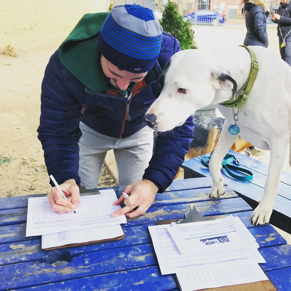 Sign the Dog Park Application