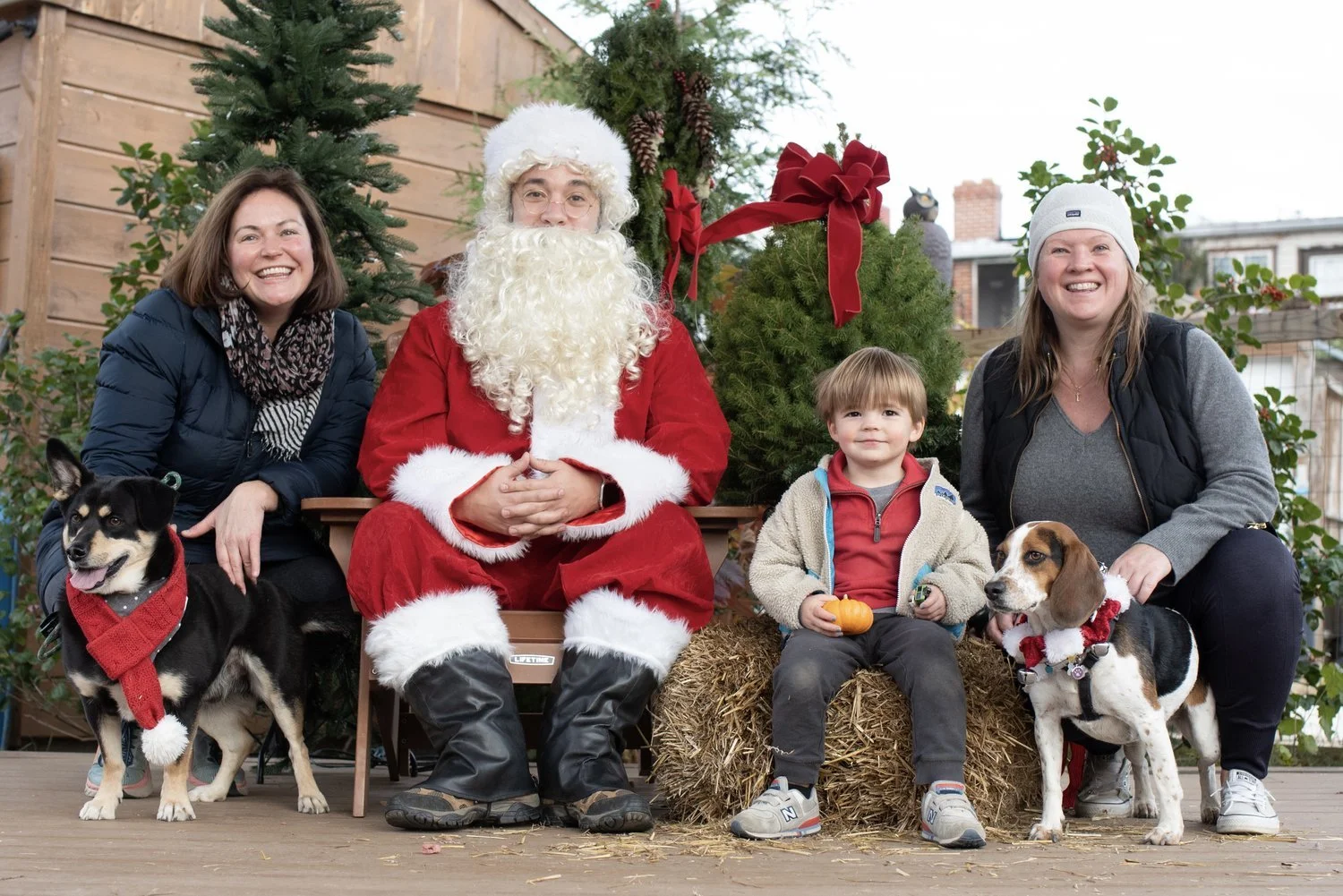Santa Claus Visited All Our Good Dogs