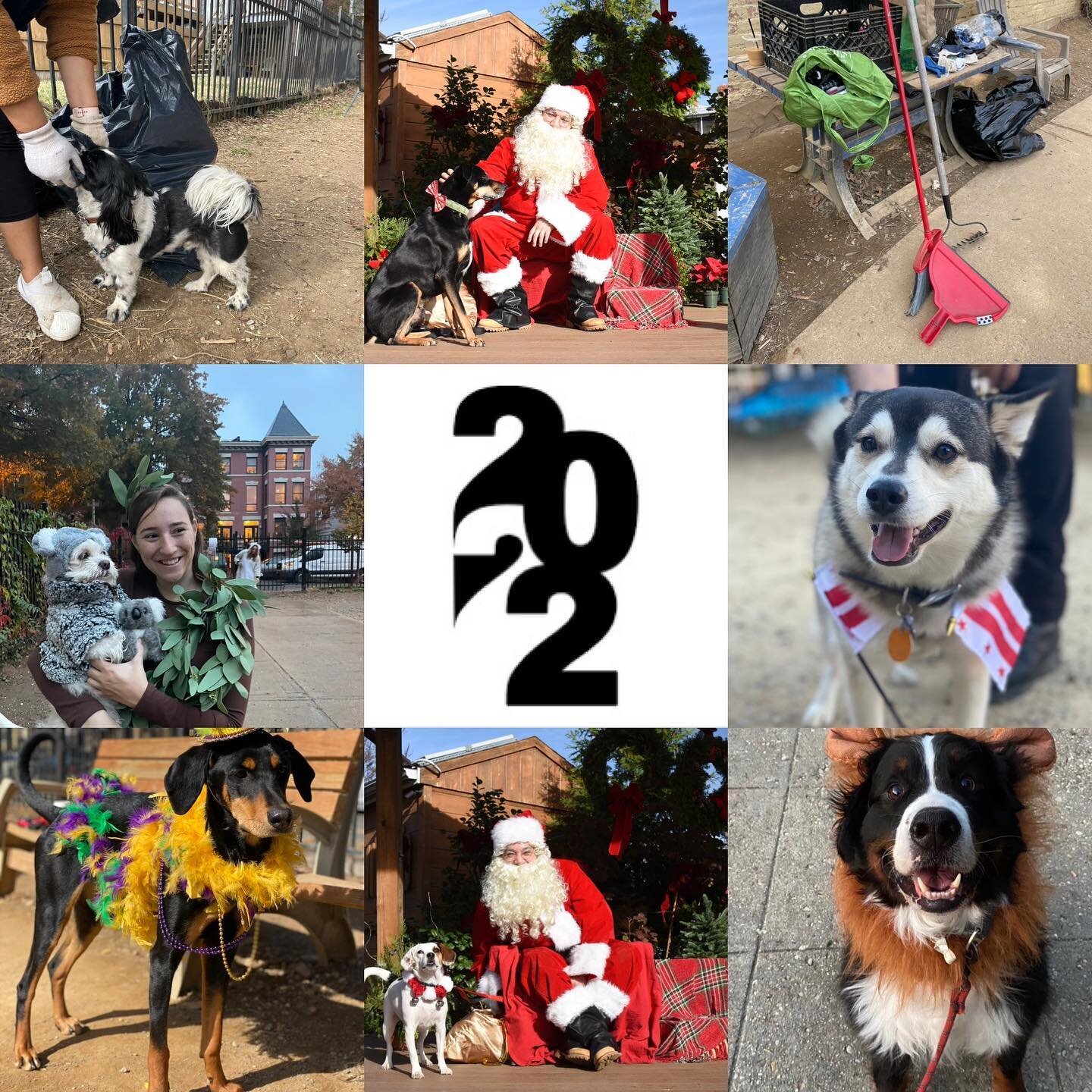 Happy 2023! 2022 was for sure a busy year for the dog park! Right at the end we learned from Councilmember @brianneknadeau that the city (finally) signed the long term lease and will now start planning for the renovation of the park to bring it up to