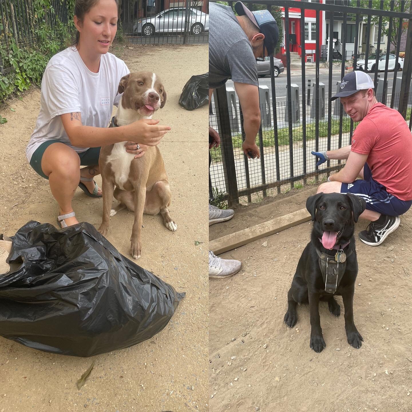 Thanks to all of the dogs and humans who came out for the #earthday clean-up of the dog park. Reno supervised the trash and dog poop (!!!) pick up in the park and on the streets around the park we adopted as part of the Mayor&rsquo;s @cleancitydc pro