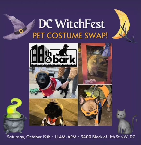 DC WitchFest Pet Costume Swap