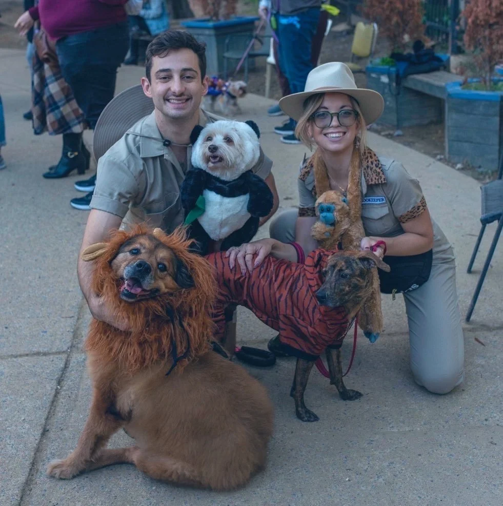 The Annual Halloween Dog Park Dog Costume Show is Back in Person and