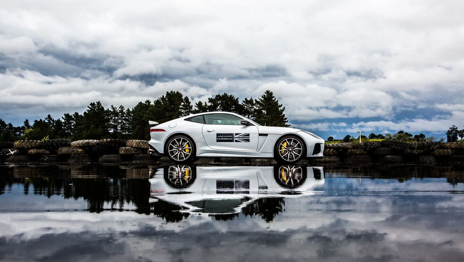 Jaguar-508_preview - Copy.jpeg