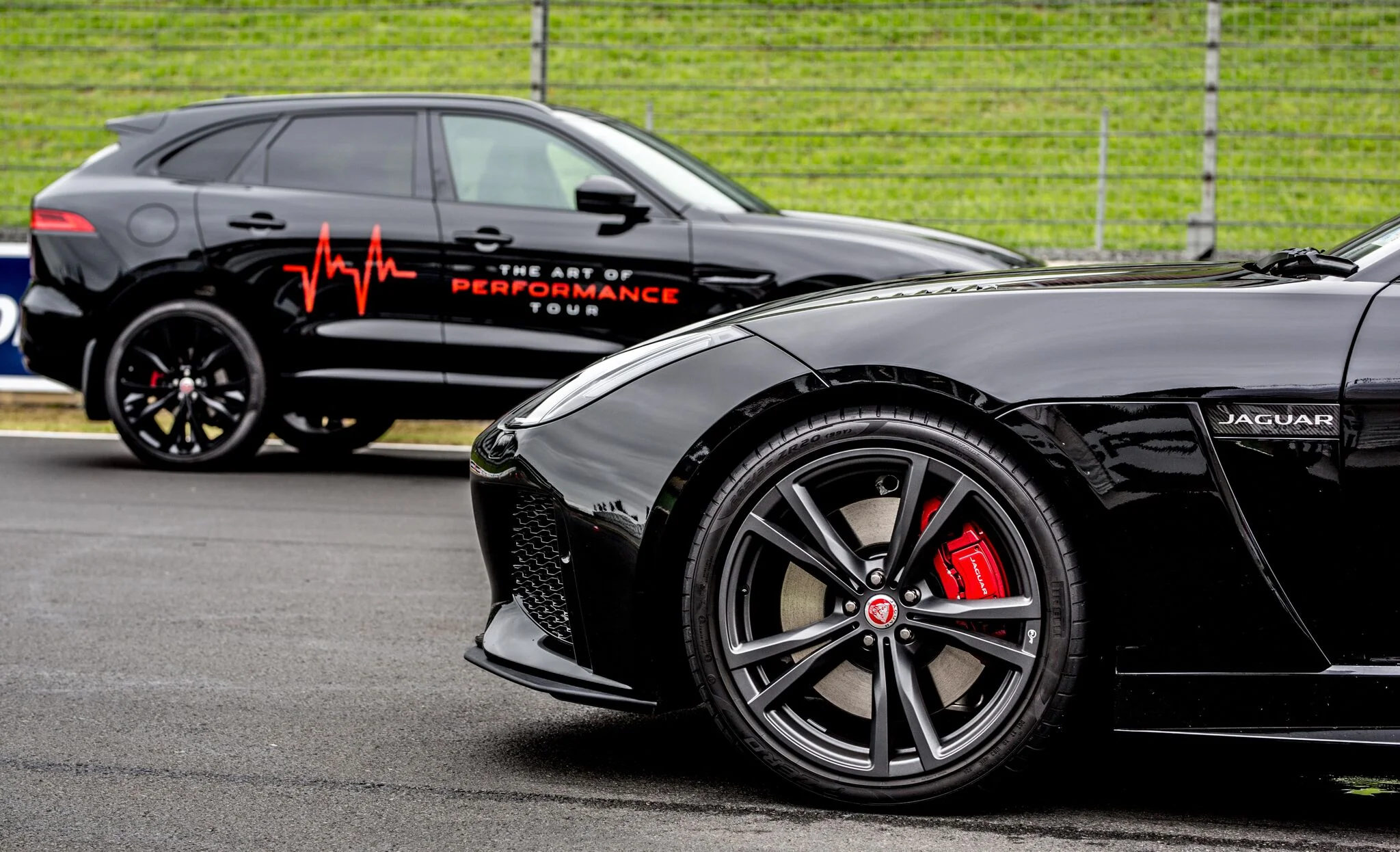 Jaguar - Art of Performance - TUE MORN 2MB-104_preview.jpeg