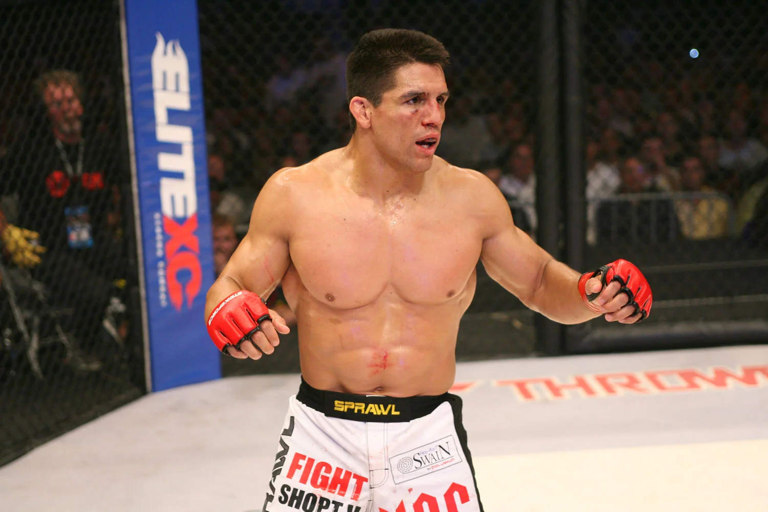 4 Fighter yang Punya Hook Mematikan! Frank Shamrock