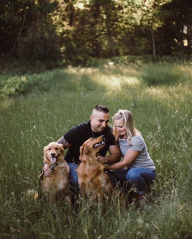 I love when my clients bring their pups to our sessions 😍😍
.
.
.
.
.
.
.
#laurensomerophotography #familysession #nhphotographer #maphotographer #nhfamilyphotographer #603photographer #603 #ig_nh #ig_photography #newhampshire #summernights #goldenh