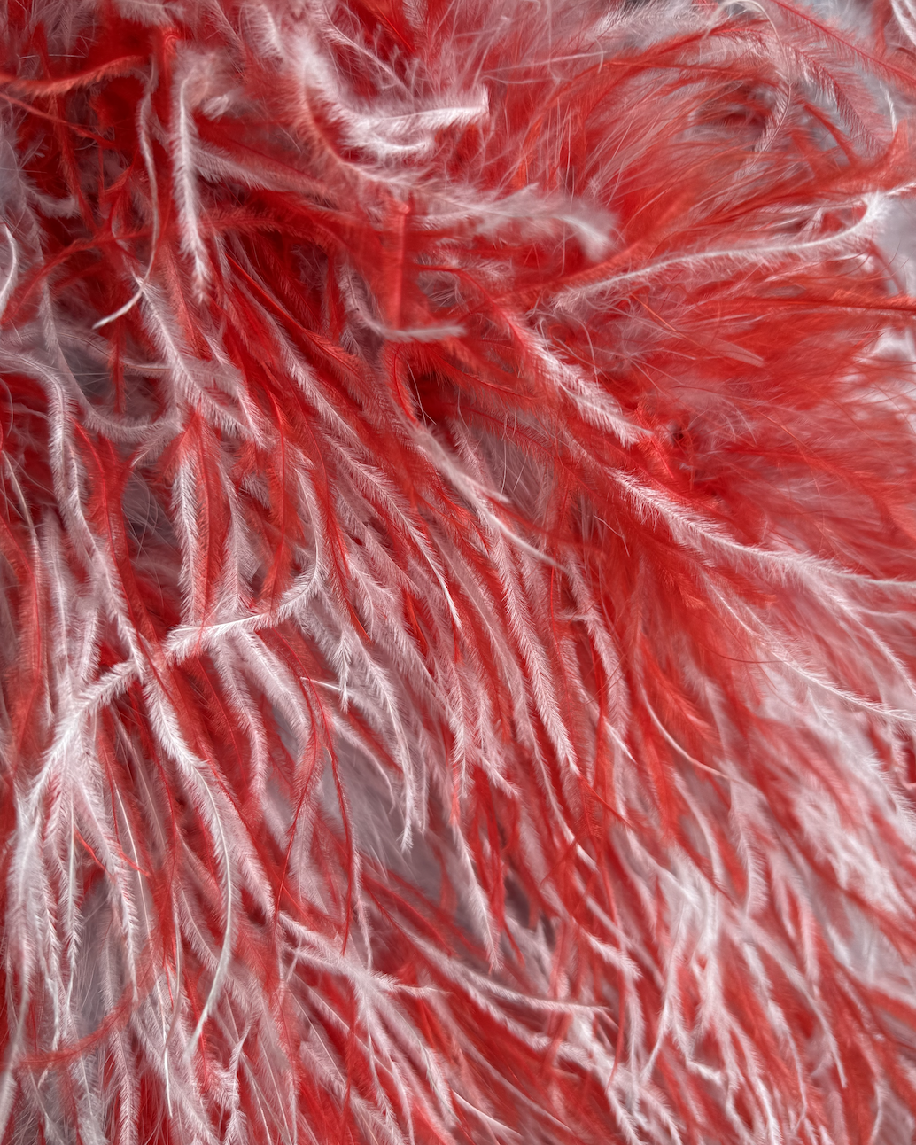 Screenshot 2026-02-26 at 3.01.16 PM.png