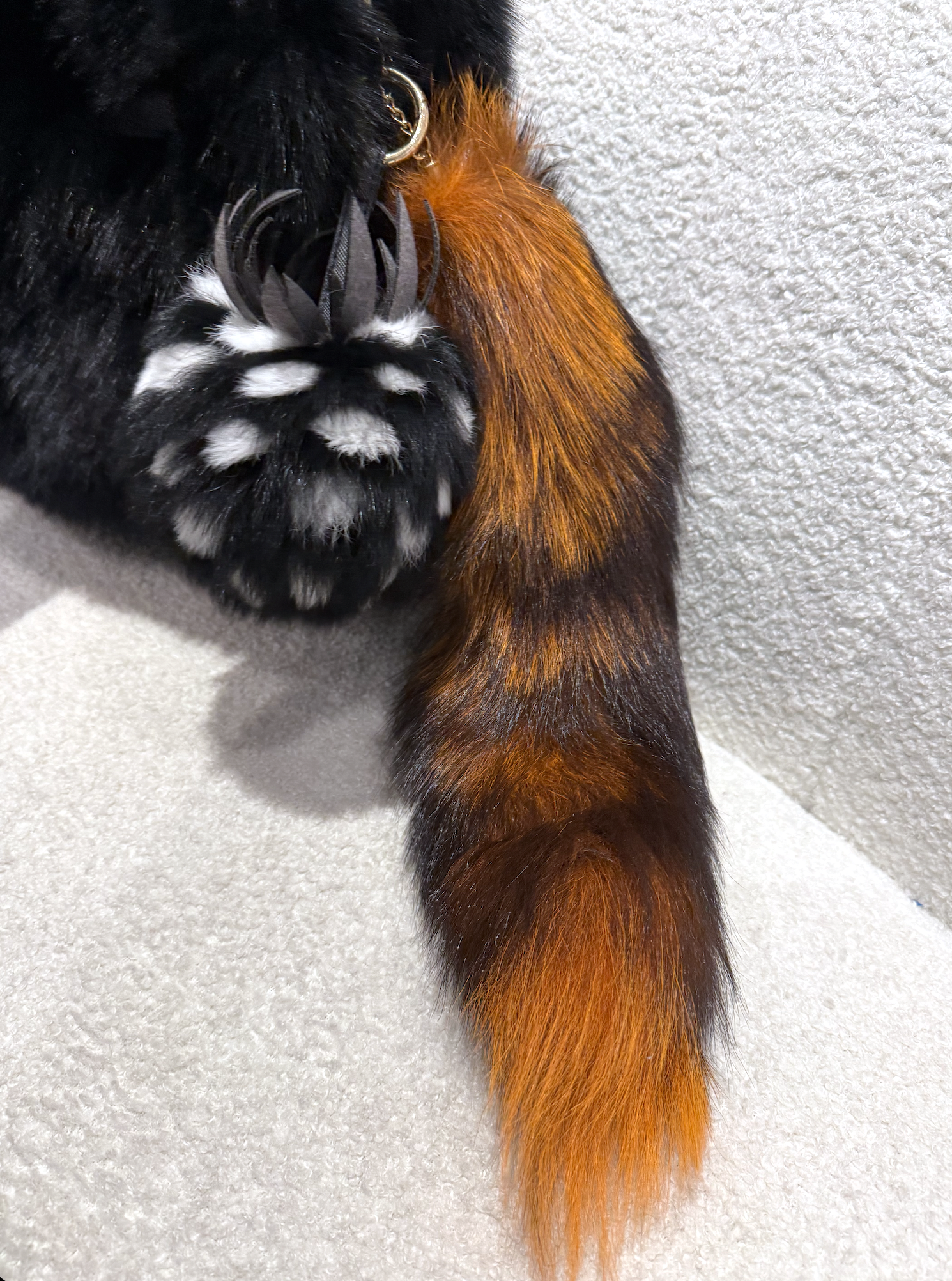 Screenshot 2026-03-01 at 8.10.38 PM.png