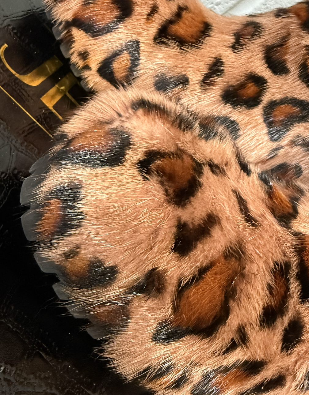 Screenshot 2026-02-26 at 4.00.41 PM.png