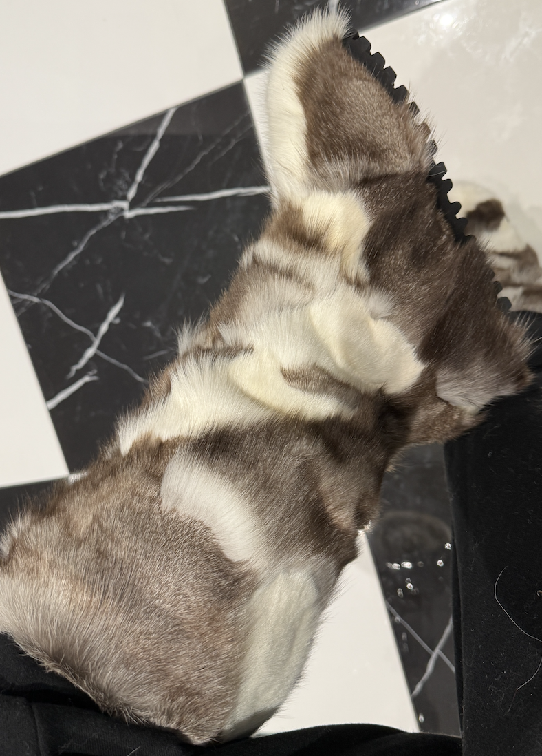 Screenshot 2026-03-19 at 11.01.16 AM.png