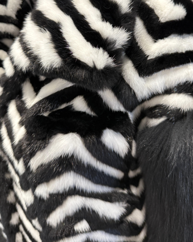 Screenshot 2026-02-19 at 1.15.35 AM.png