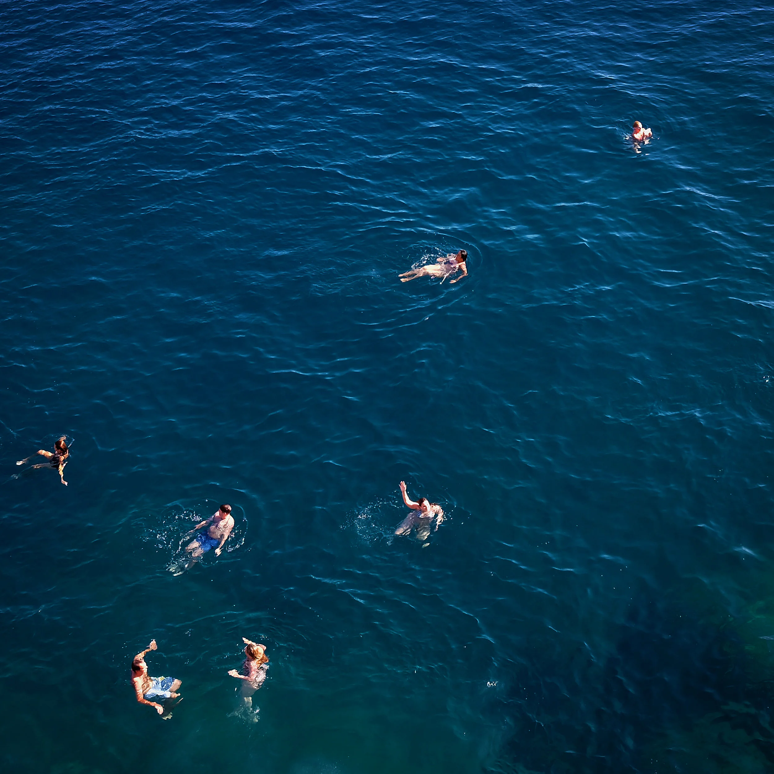Dubrovnik Swimmers.jpg