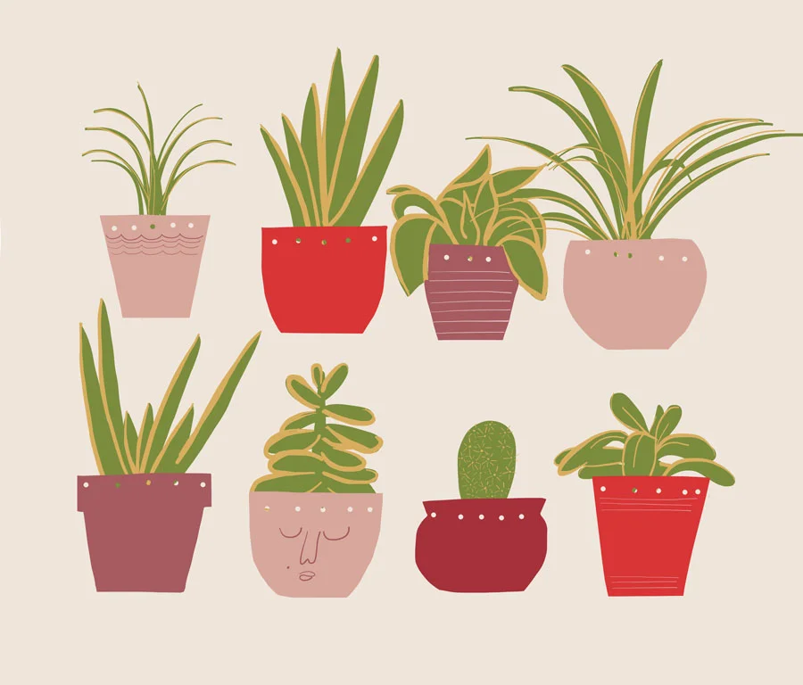 plants-01.jpg
