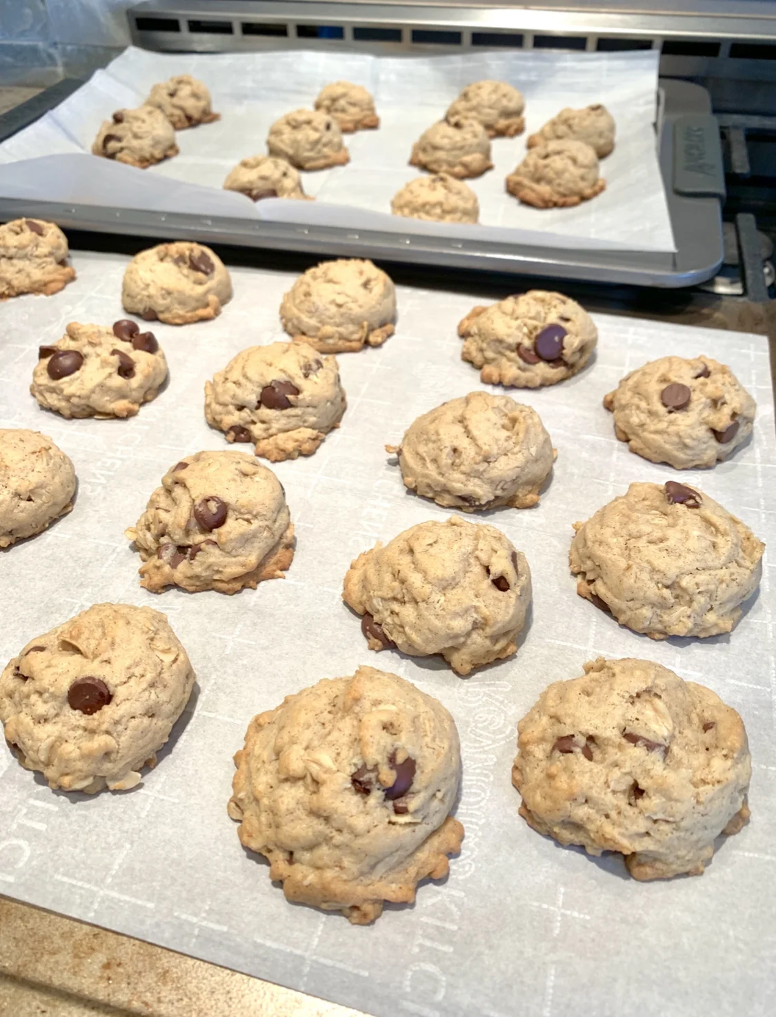 Farmhouse Chocolate Chip Cookies_Farmhouse Redefined.jpg