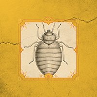FRINGE at The Gargoyle - The Ghost of a Flea