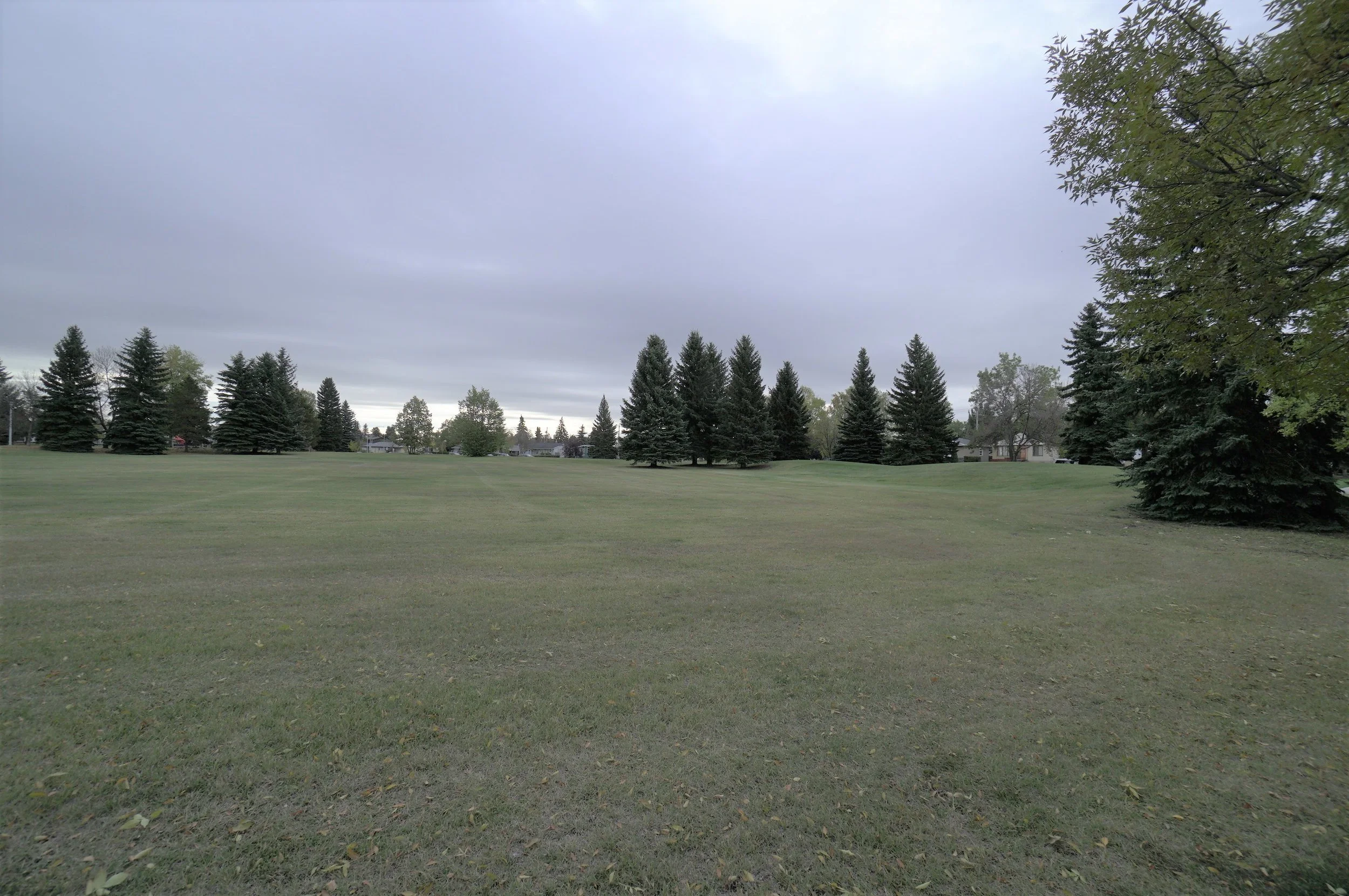 DSC02669.JPG