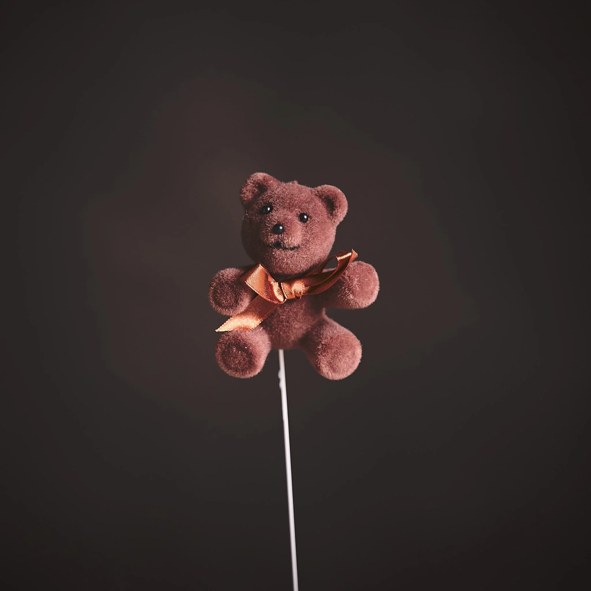 Teddy Bear Pick