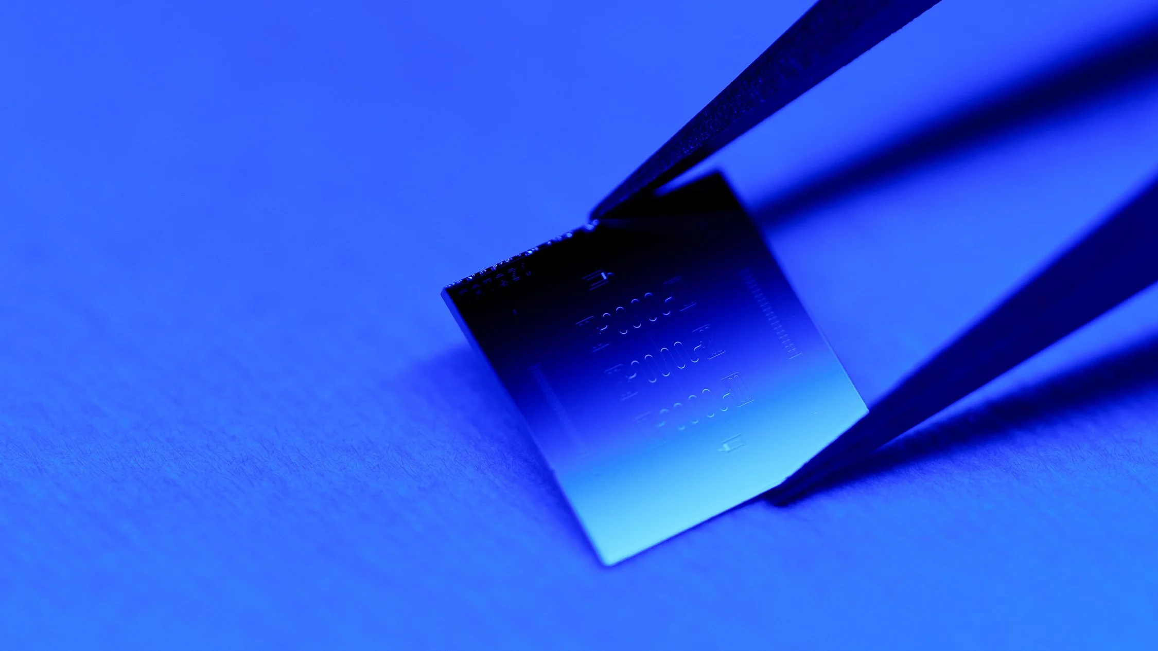 20251001_microchipmacro_MR_025-2.jpg