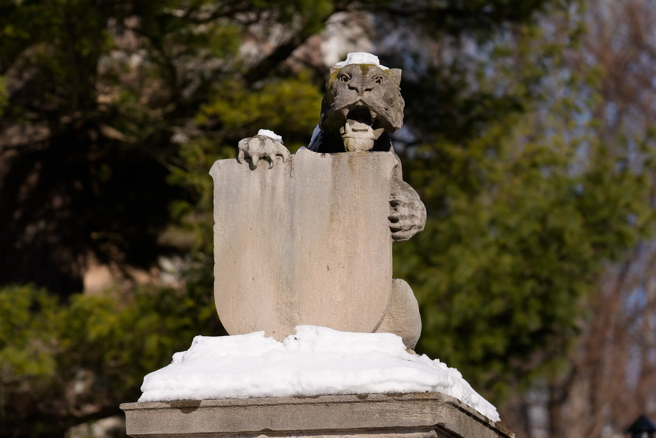 20260121_wintercampus_MR_130.jpg