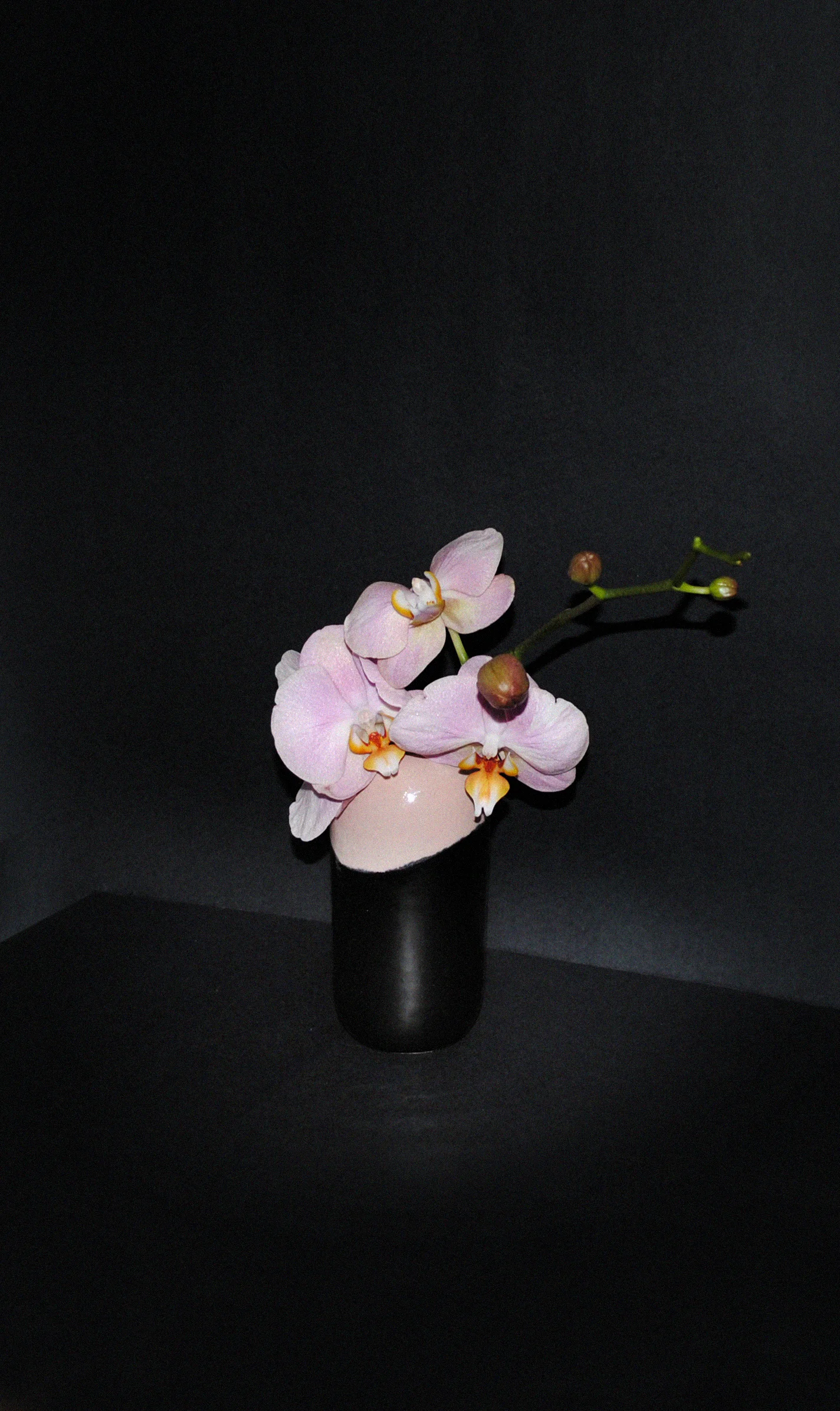 dani_vase_black.jpg