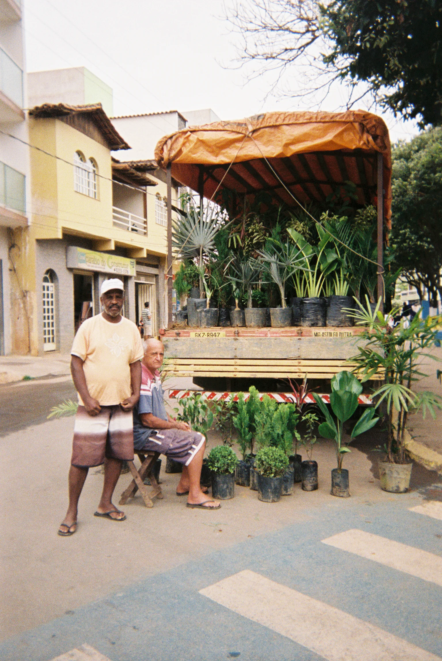 Plant vendors