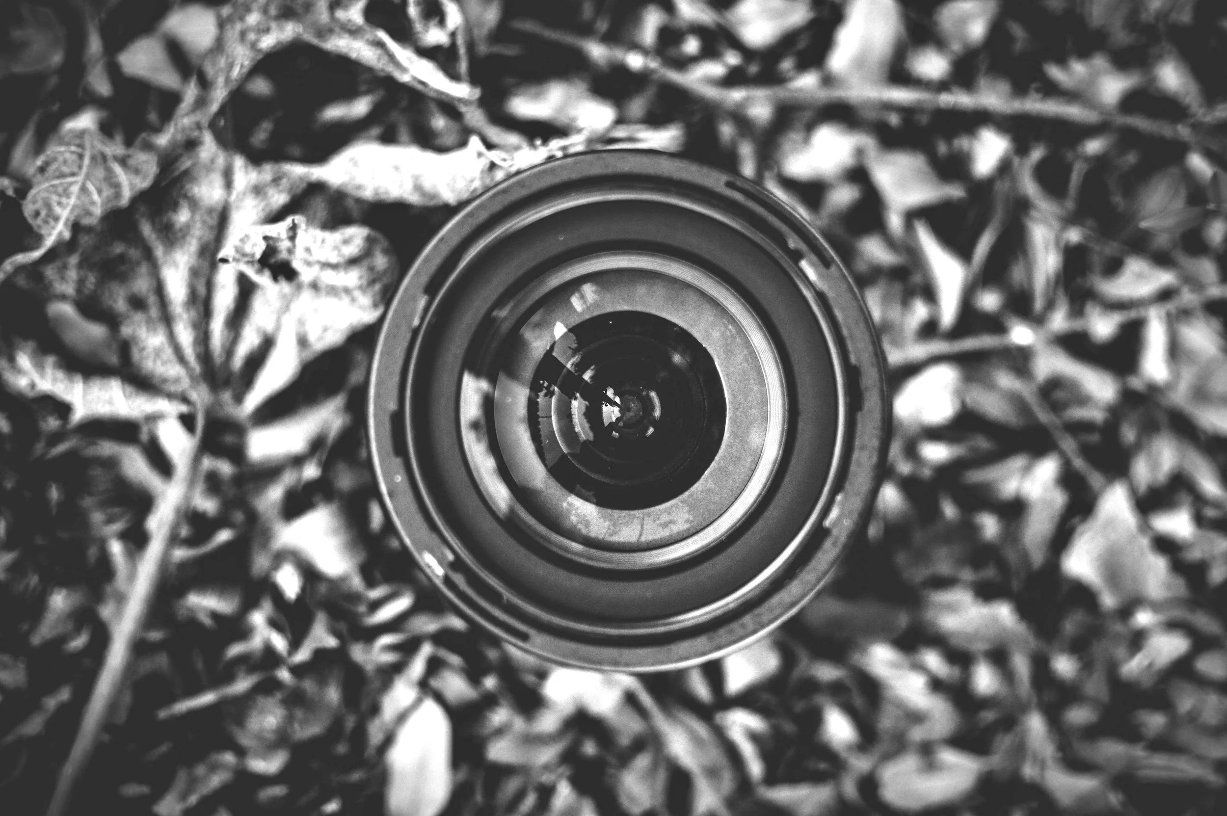 autumn-camera-leaves-69970 2.jpg