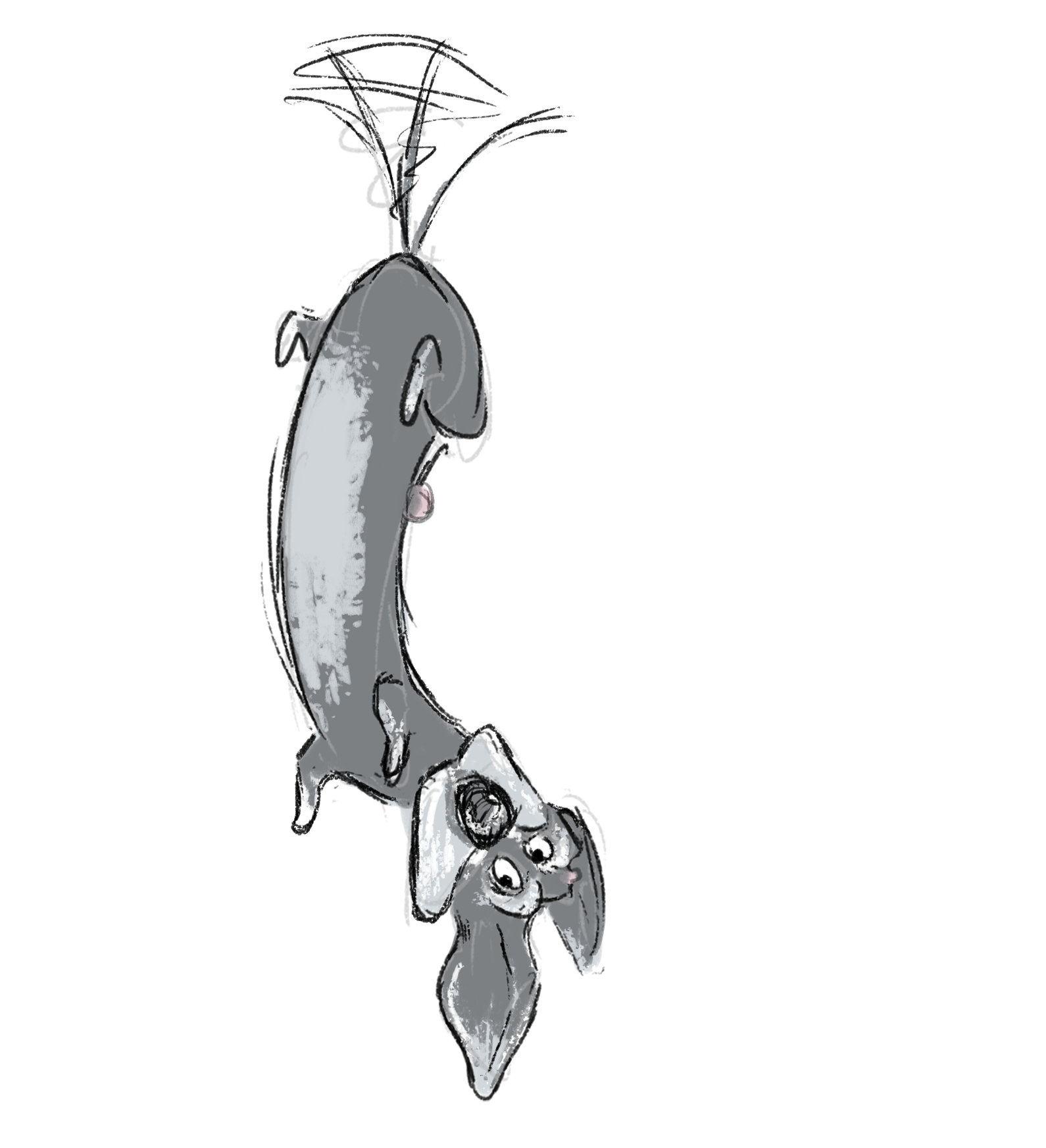 fly1.png