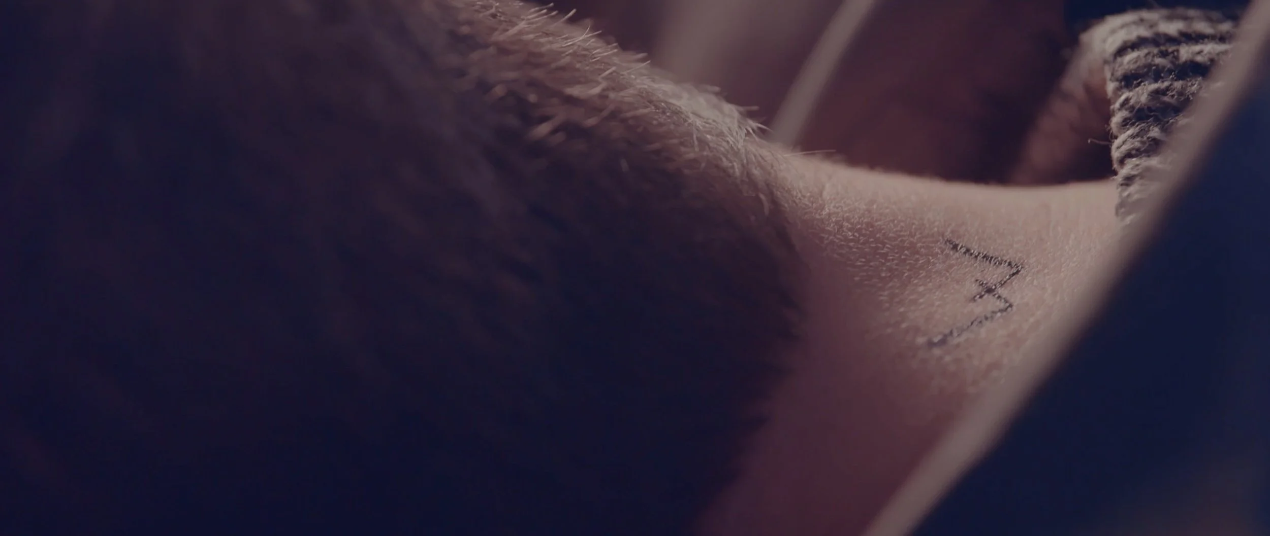 Screen Shot 2021-12-07 at 7.18.52 PM.jpg