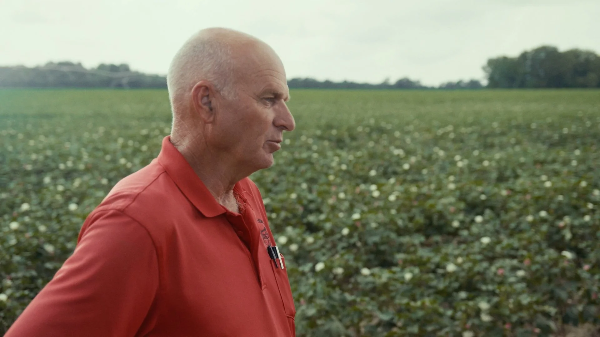 Still 2024-12-11 064610_1.6.6.jpg