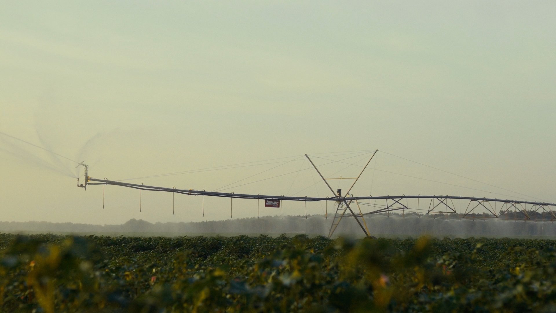 Still 2024-12-11 064610_1.6.11.jpg