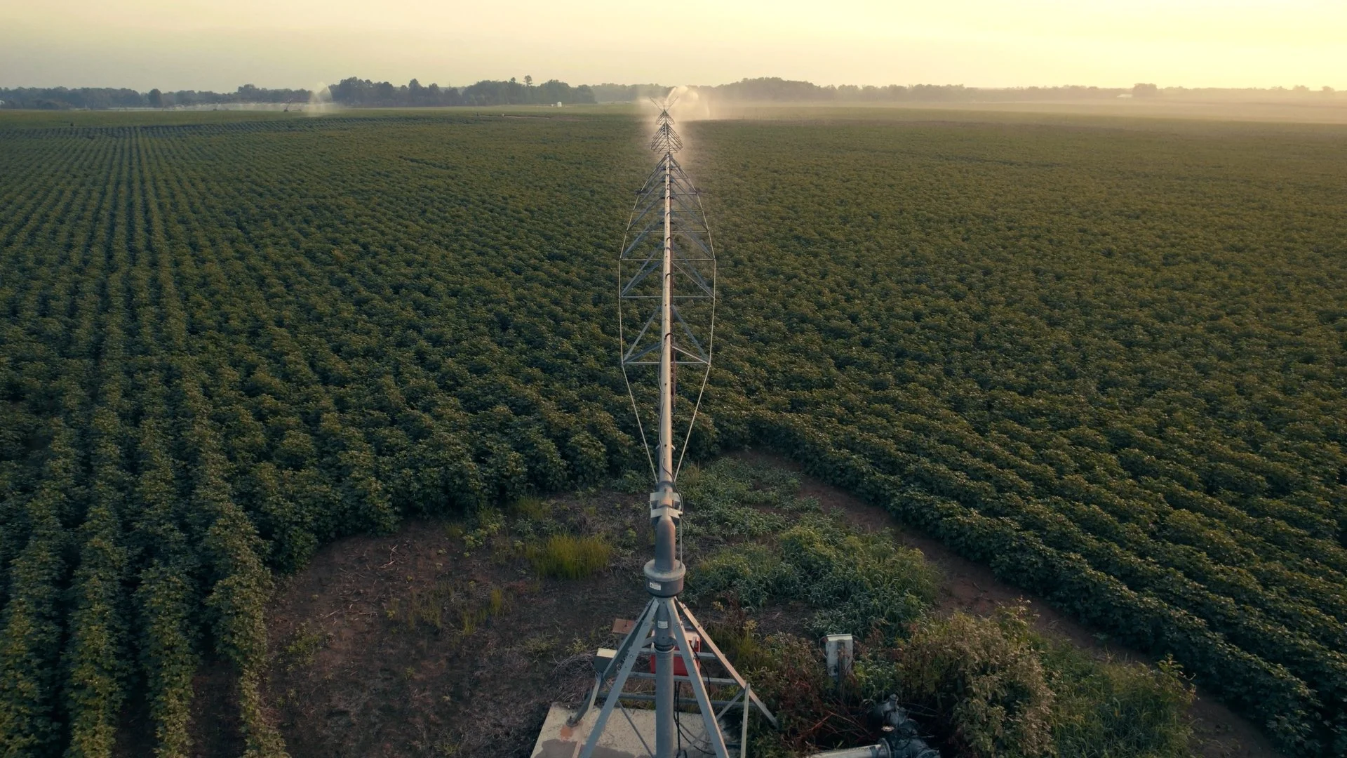 Still 2024-12-11 064610_1.6.10.jpg