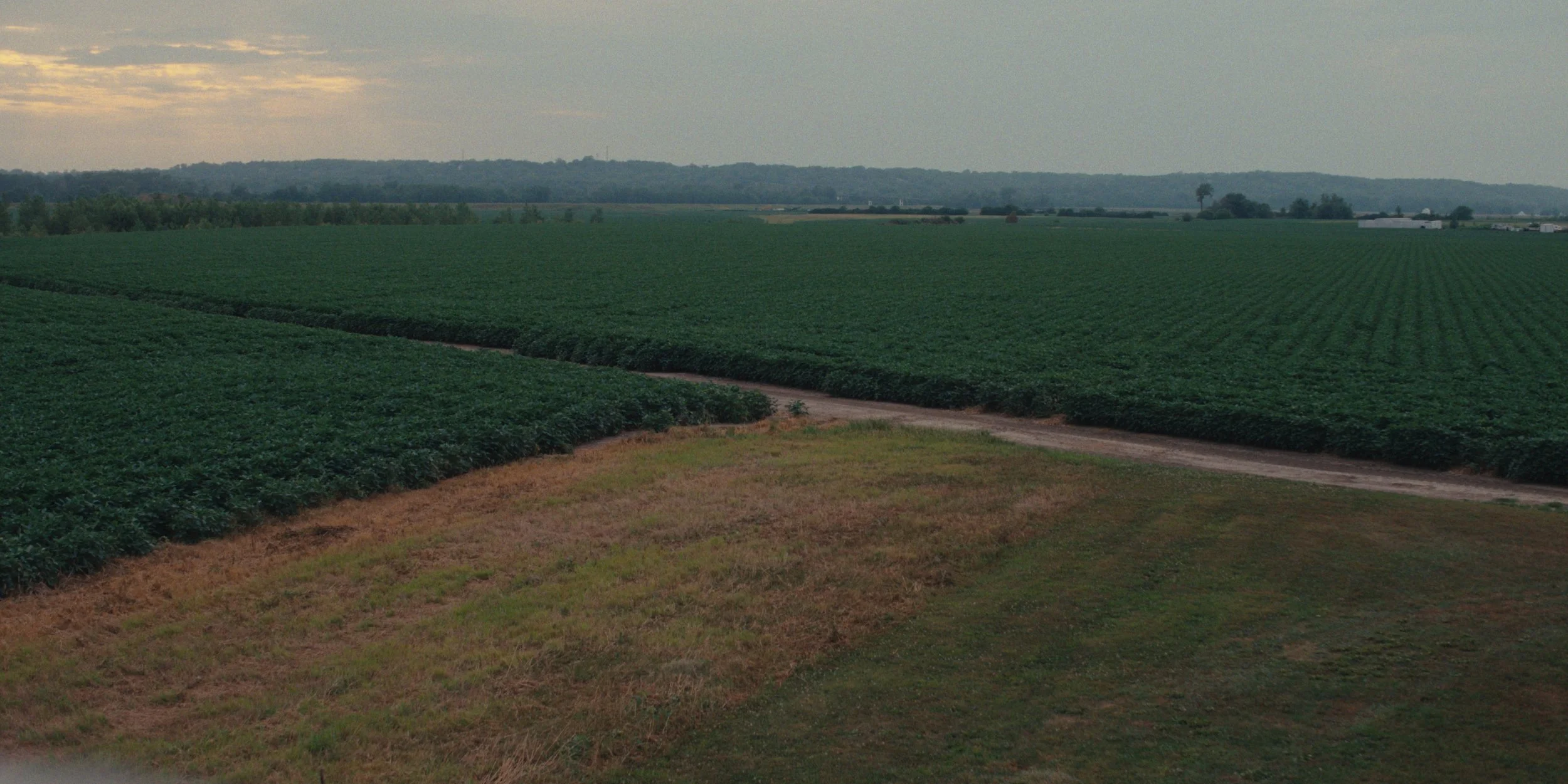 Wide view of soybean fields stretching to the horizon at dusk, still from a Folsom Lake Solar commercial shot in Mills County, Iowa by director of photography Cole Mowery