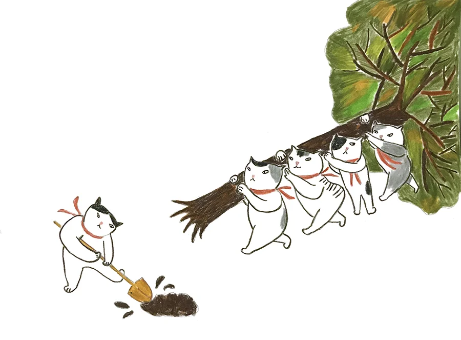 tree.jpg