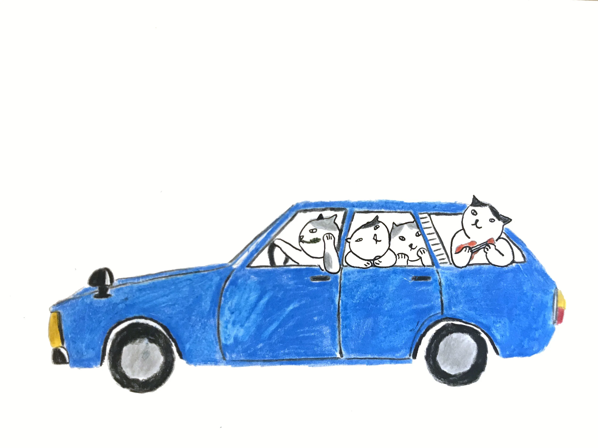 drive car2.jpg