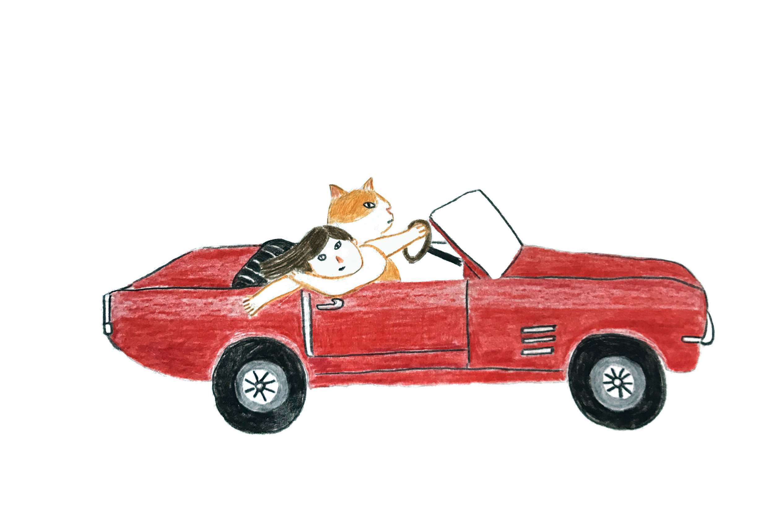 car.jpg