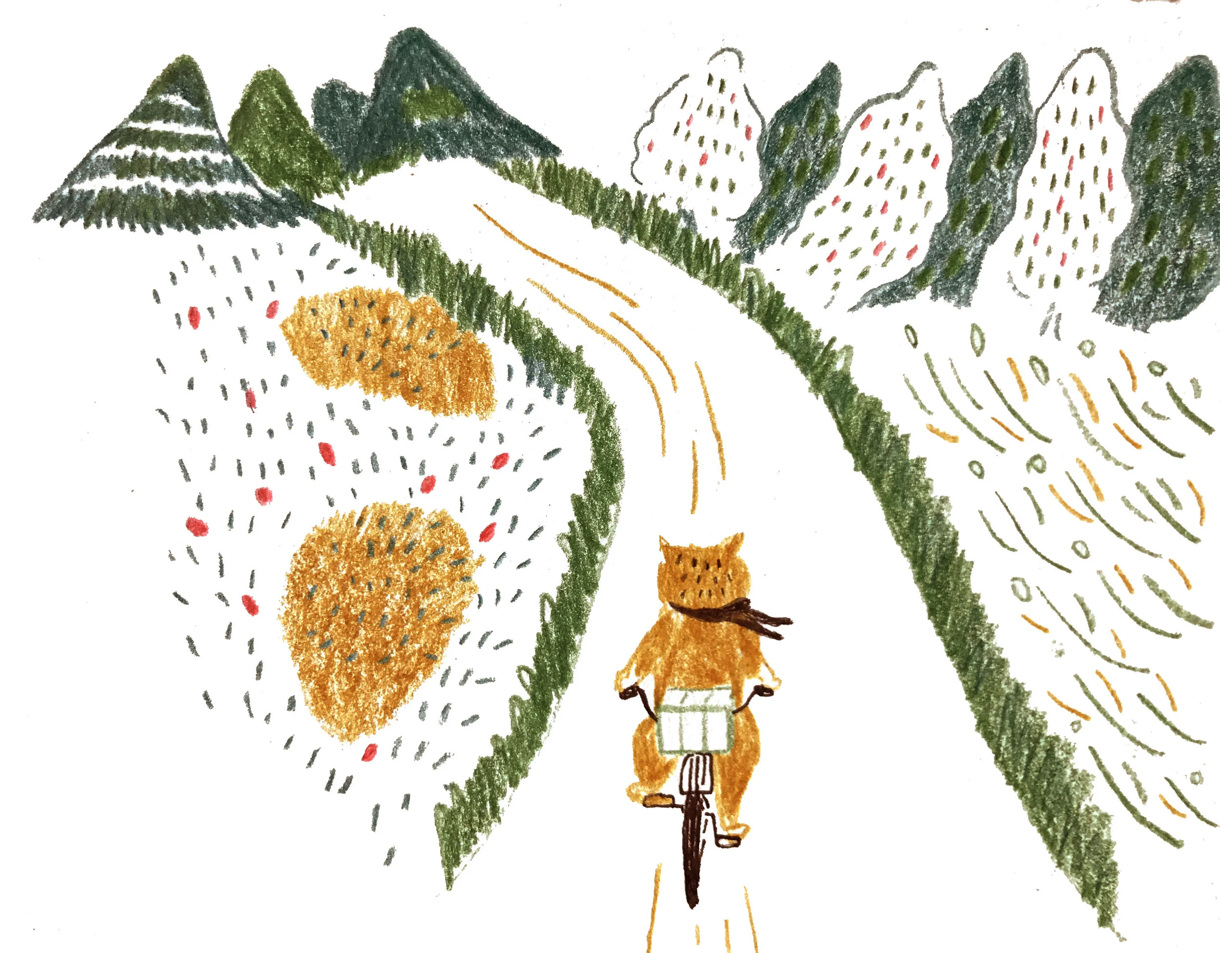 lonelybike.jpg