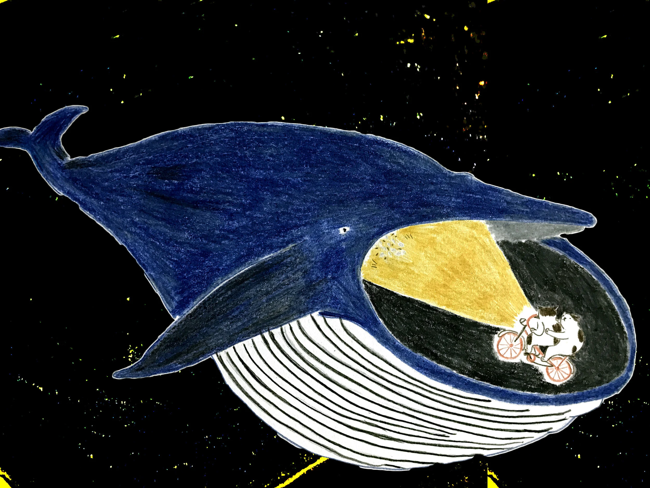 whale3.jpg