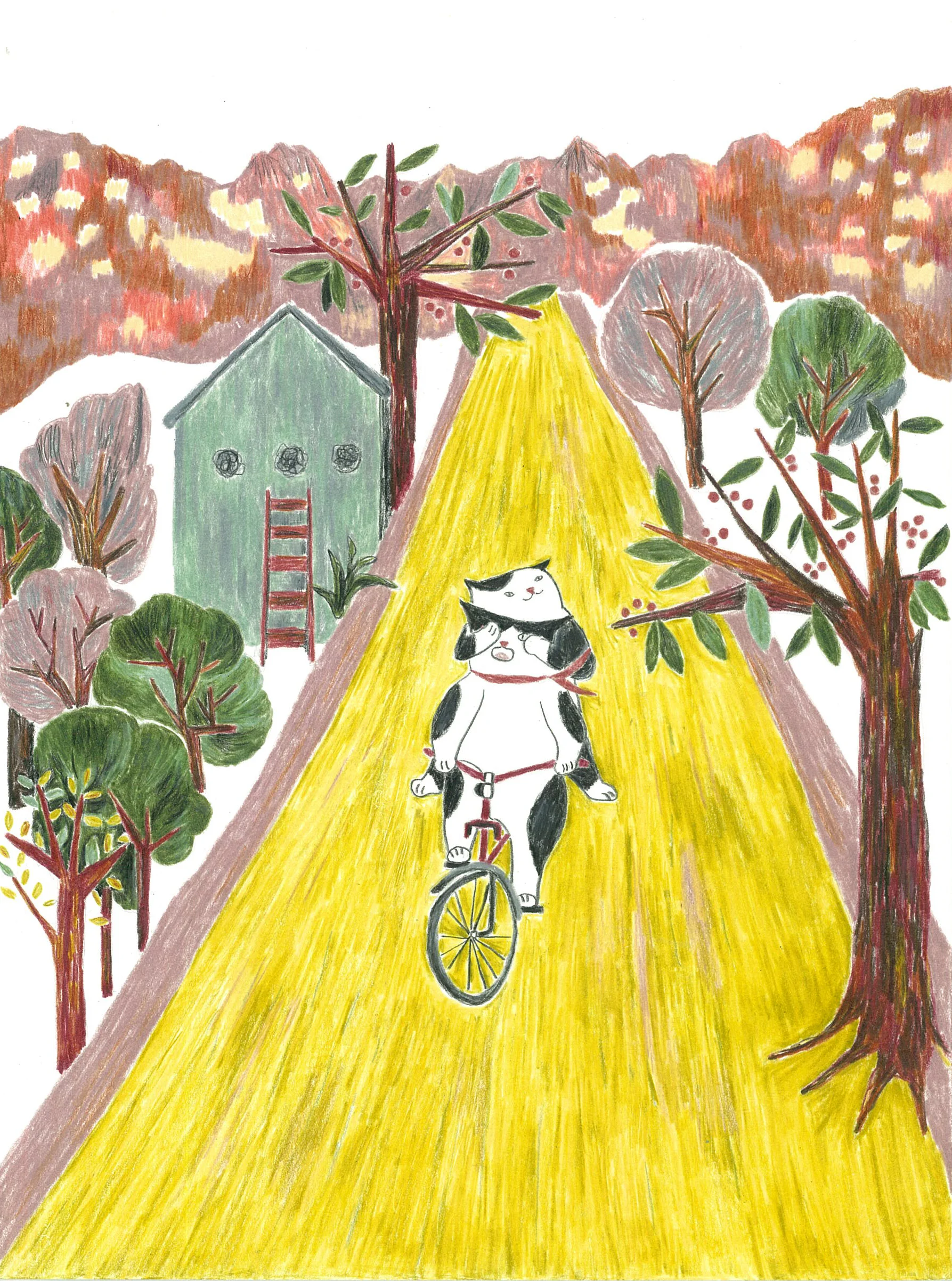 bike mountain.jpg