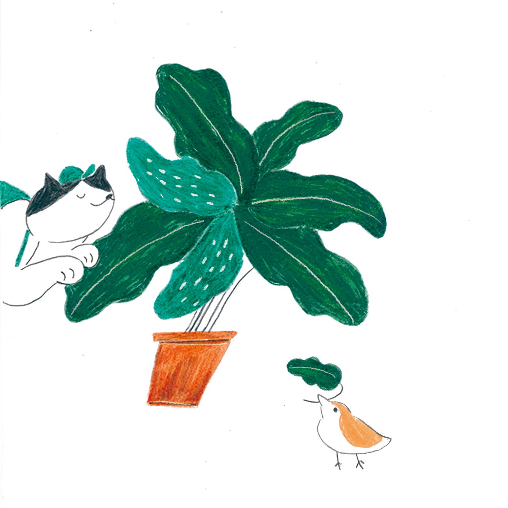 plant.png