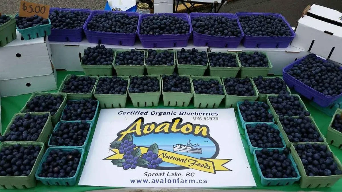 Avalon market-photo.jpg